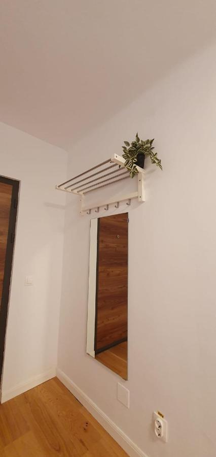 The Pines Serviced Apartments Brașov Exterior foto